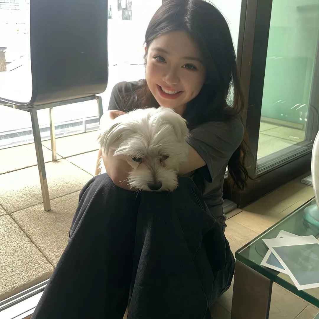 特洛伊奥德赛